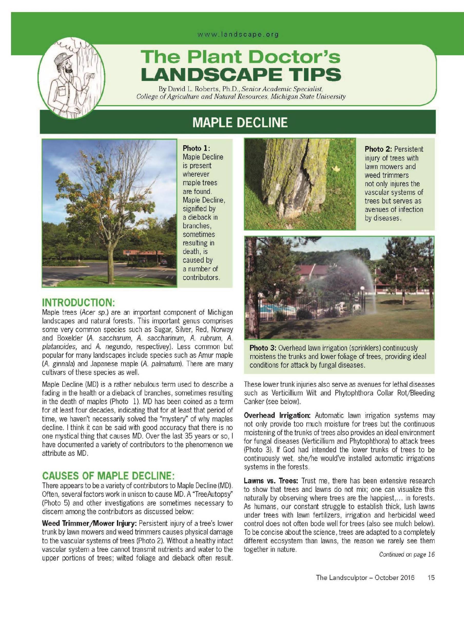 The plant doctors landscape tips